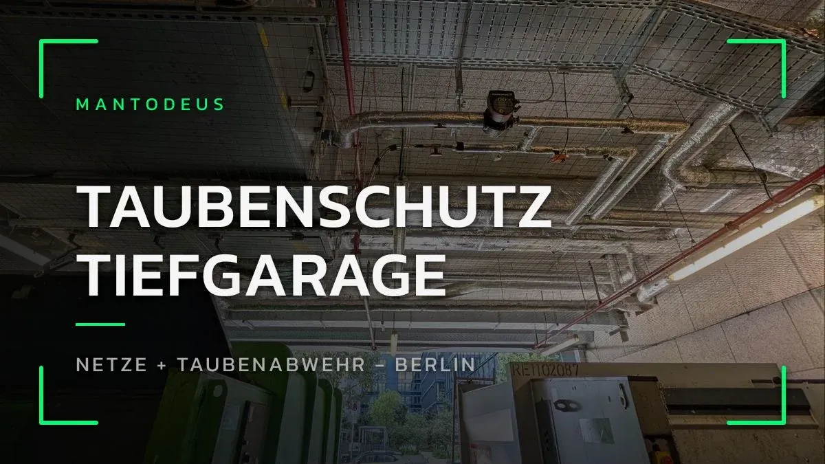 Taubenschutznetz unter der Decke einer Tiefgaragen-Einfahrt in Berlin